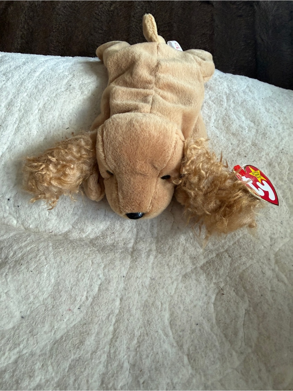 TY NWT Spunky Tan Plush Cocker Spaniel Beanie Baby- Soft Curly-Eared Stuffed Pup